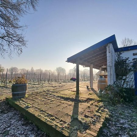 Bed and Breakfast Wijnstaete Lemelerveld Exterior foto