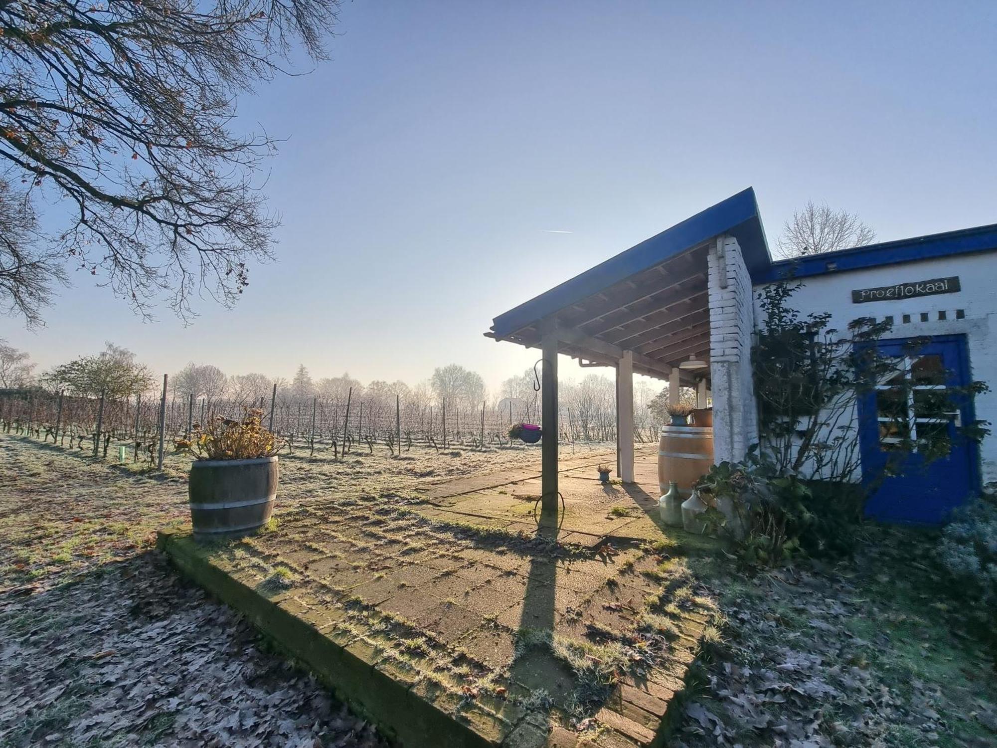 Bed and Breakfast Wijnstaete Lemelerveld Exterior foto