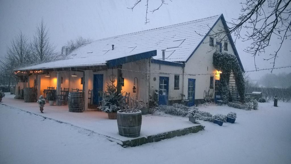 Bed and Breakfast Wijnstaete Lemelerveld Exterior foto